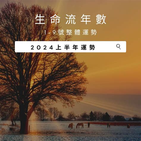 生命靈數流年|2024運勢如何？計算我的生命流年數，了解如何規劃。